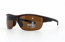 Polarized  Polar Eagle 8204 С2 73-17-120