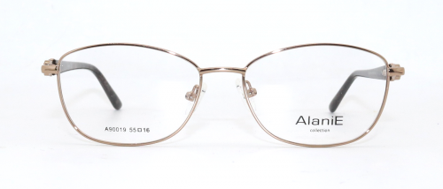 Оправа Alanie A90019 с4 55-16-140