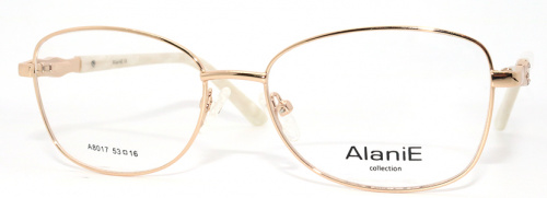 Оправа Alanie A8017 c1 53-16-138 фото 2