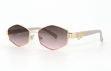 Фотохром Polarized 91766 C5 58-16-137