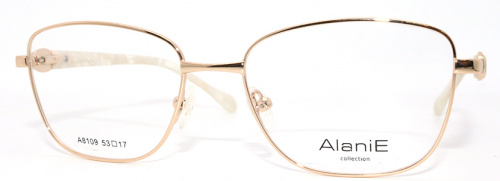 Оправа  Alanie A8109 с1 53-17-140 фото 2