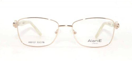 Оправа Alanie 90121 c1 53-16-140