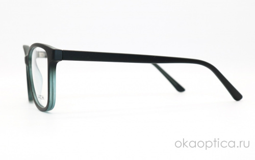 Оправа DACCHI 35827 c12 49-15-135 фото 3