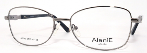 Оправа Alanie A8017 c3 53-16-138 фото 2