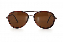 Polarized EC5814  C3 55-16-135