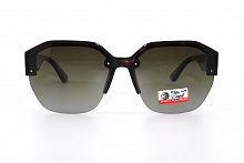 Polarized 09595 C4 61-17-143