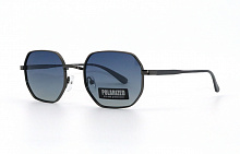 Polarized 347 С4 53-16-130