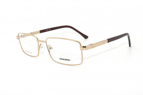 Оправа MIEN  8868 C2 54-18-140