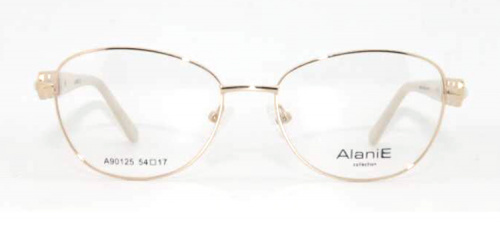Оправа Alanie A90125 c1 54-17-140