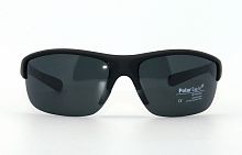 Polarized  Polar Eagle 8204 С3 73-17-120