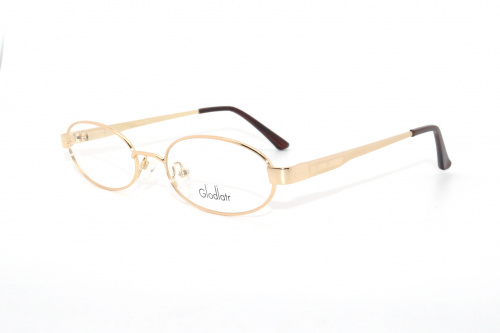 Оправа Glodiatr DS-L18 C2 51-18-145