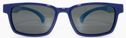 Polarized  8156 С31 фото 2